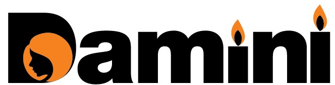 Damini Logo Device mark 5077351 Trademark