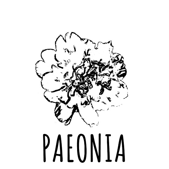Paeonia Device mark 5084686 Trademark