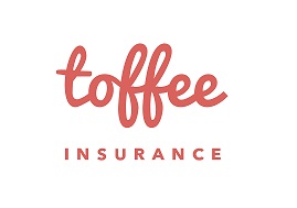 Toffee Insurance Device mark 5090430 Trademark