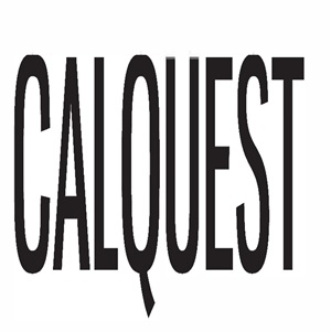 Calquest Device mark 5094353 Trademark