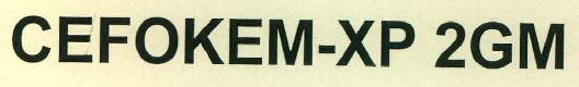 Cefokem-xp 2gm Device mark 2696498 Trademark