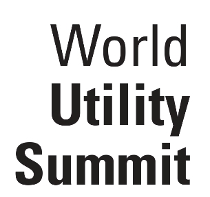 World Utility Summit Device mark 2987785 Trademark