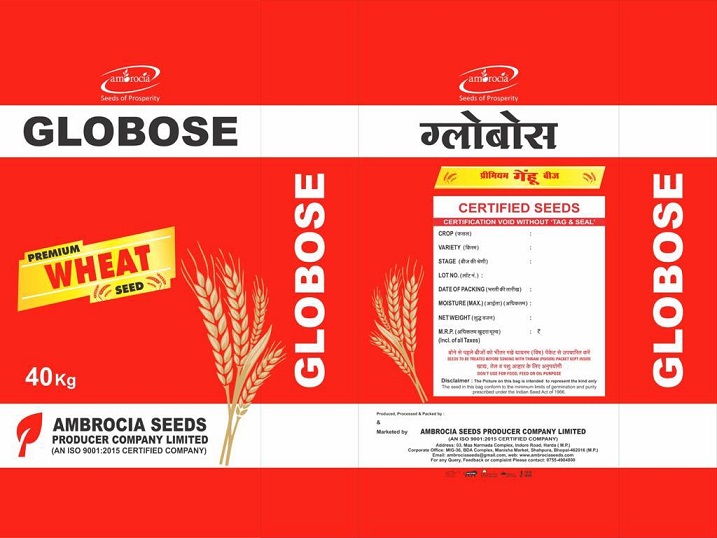 Globose Device mark 5097429 Trademark