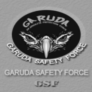 Garuda Safety Wing Device mark 5099687 Trademark