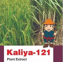 Kaliya 121 Device mark 5104912 Trademark