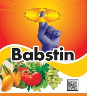 Babstin Device mark 5104914 Trademark