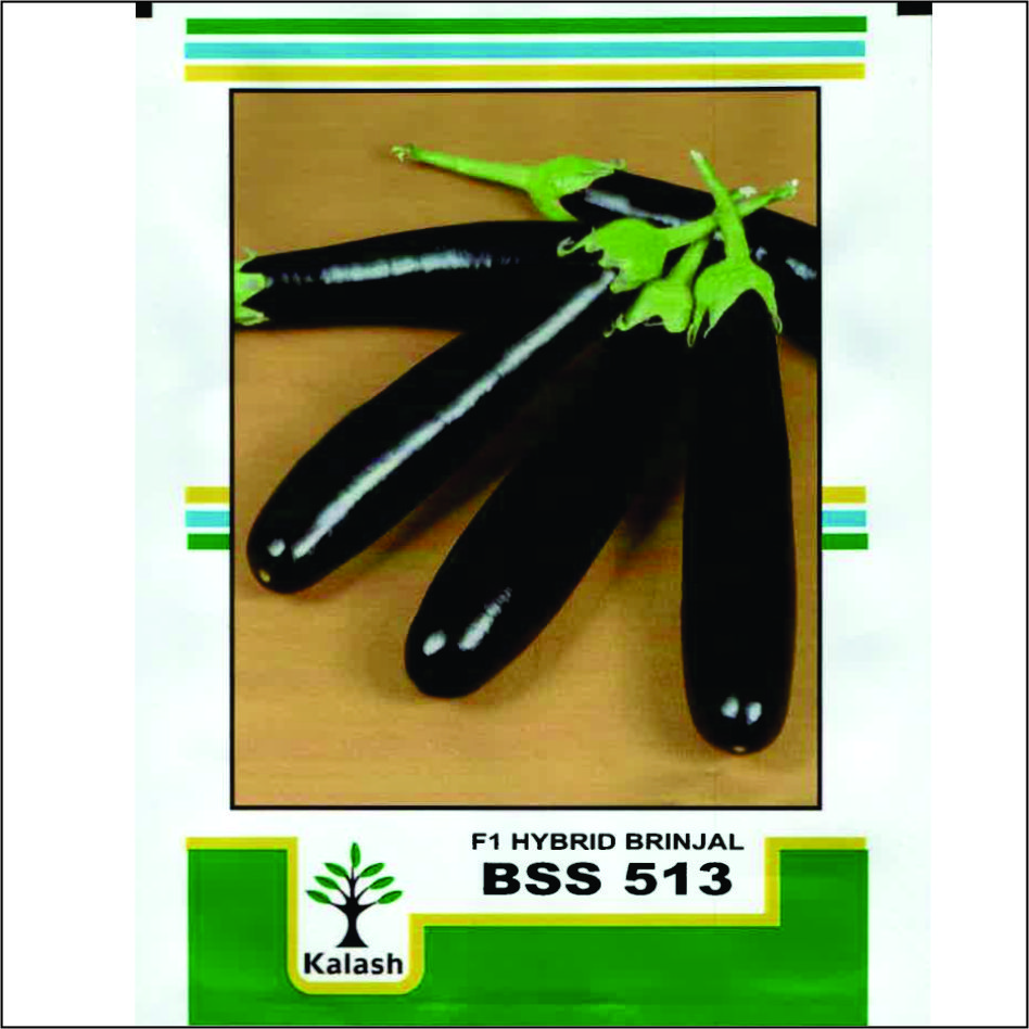 F 1 Hybrid Brinjal Bss 513 Device mark 5126063 Trademark