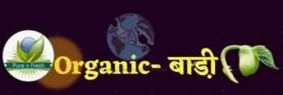 Organic-baadee Device mark 5126413 Trademark