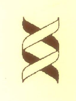 Geometrical Device Device mark 5131785 Trademark