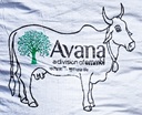 Avana Device mark 5133893 Trademark
