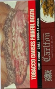 Carlton Device mark 5134329 Trademark