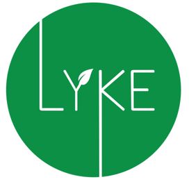 Lyke Device mark 5139338 Trademark