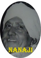 Nanaji Device mark 5142869 Trademark