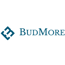 Budmore Device mark 5143822 Trademark
