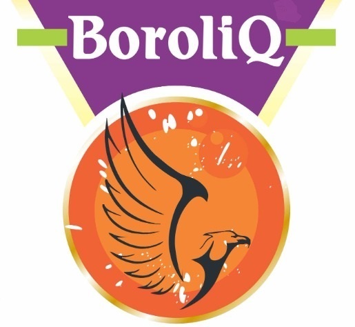 Boroliq Device mark 5148584 Trademark