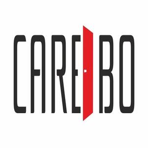 Carebo Device mark 5160387 Trademark