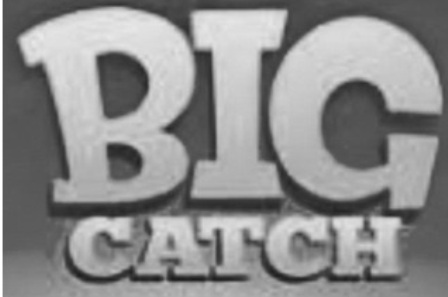 Big Catch Device mark 5169212 Trademark