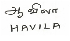 Havila In Tamil Device mark 5179148 Trademark