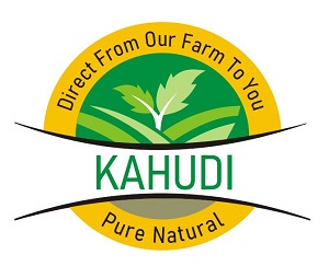 Kahudi Device mark 5190123 Trademark