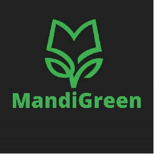 Mandigreen With Unique Logo Device mark 5191790 Trademark