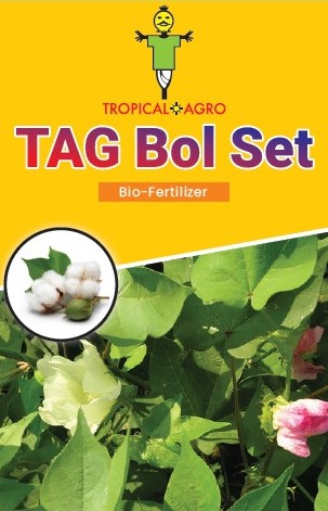 Tag Bol Set Device mark 5202375 Trademark