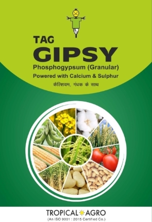 Tag Gipsy Device mark 5202376 Trademark