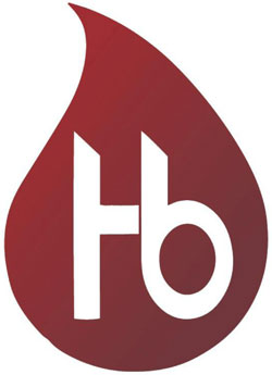 Hb Device mark 5204311 Trademark