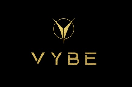 Vybe Device mark 5217636 Trademark