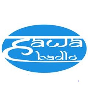 Hawa Badlo Device mark 5248156 Trademark