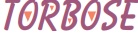 Torbose Device mark 5253832 Trademark