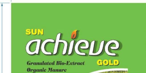 Sun Achieve Gold Device mark 5252697 Trademark