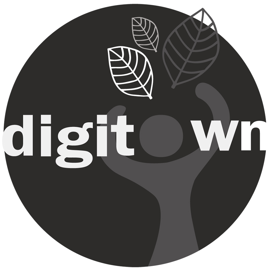 Digitown Device mark 5264016 Trademark