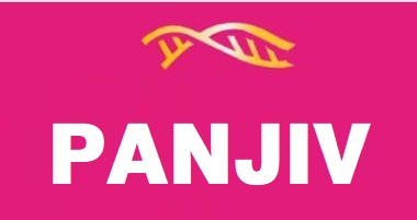 Panjiv Device mark 5278544 Trademark