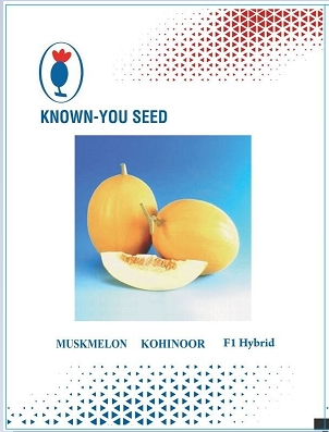 Known You Seed Muskmelon Kohinoor F1 Hybrid Device mark 5279688 Trademark