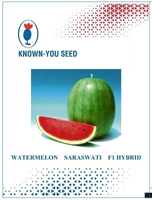 Known You Seed Watermelon Saraswati F1 Hybrid Device mark 5279681 Trademark