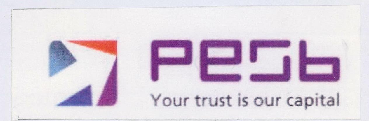 P E S B Device mark 2037269 Trademark