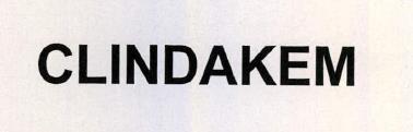 Clindakem Device mark 2232968 Trademark