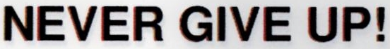 Never Give Up! Device mark 2236465 Trademark