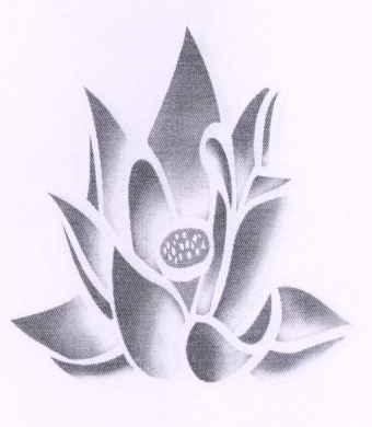 Device Device mark 2270585 Trademark