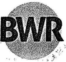 Bwr Device mark 2341483 Trademark