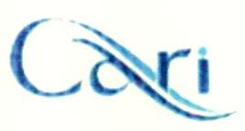 Cari Device mark 2495473 Trademark