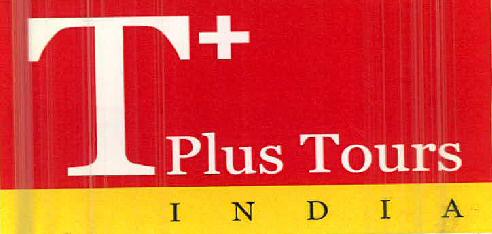 T Plus Tours India Device mark 2559102 Trademark