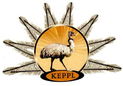 Keppl Device mark 2563991 Trademark