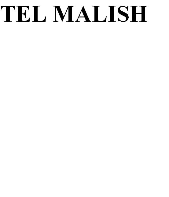 Tel Malish Device mark 2616290 Trademark