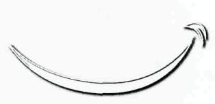 Device Mark(label) Device mark 2808387 Trademark