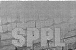 Sppl (device) Device mark 2809457 Trademark