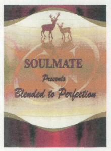Soulmate Device mark 2854124 Trademark