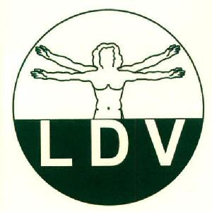 Ldv Device mark 2878311 Trademark