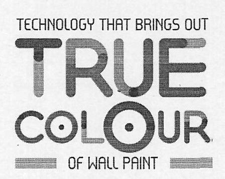 Technology That Brings Out True Colour Of Wall Paint Device mark 3102114 Trademark