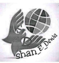 Shan E Dewa Device mark 3119230 Trademark